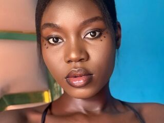free web cam BeamerAlex